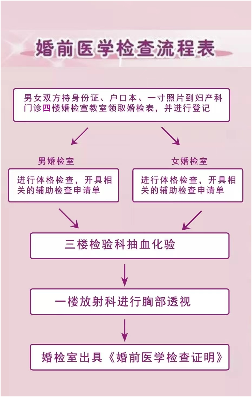 成人网站