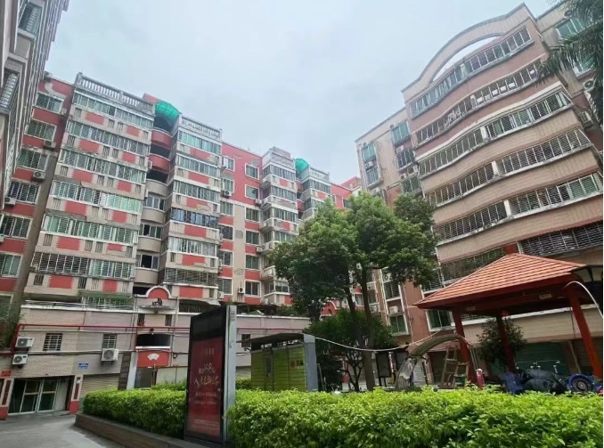 成人网站