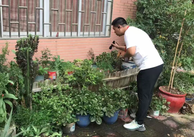 成人网站