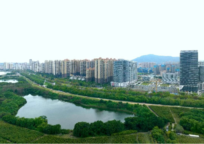 成人网站