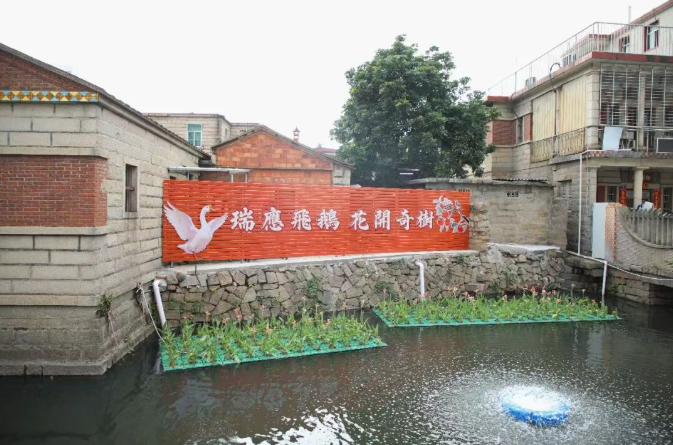成人网站