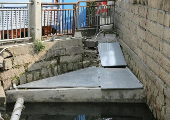 成人网站