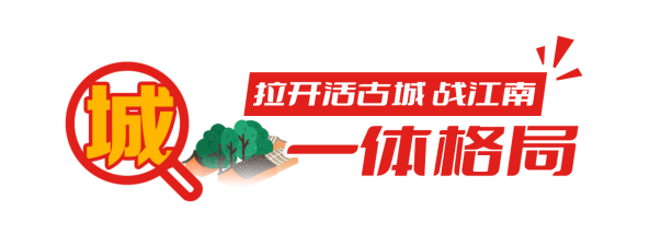 成人网站
