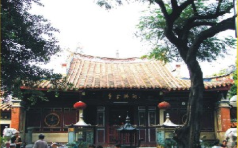 成人网站