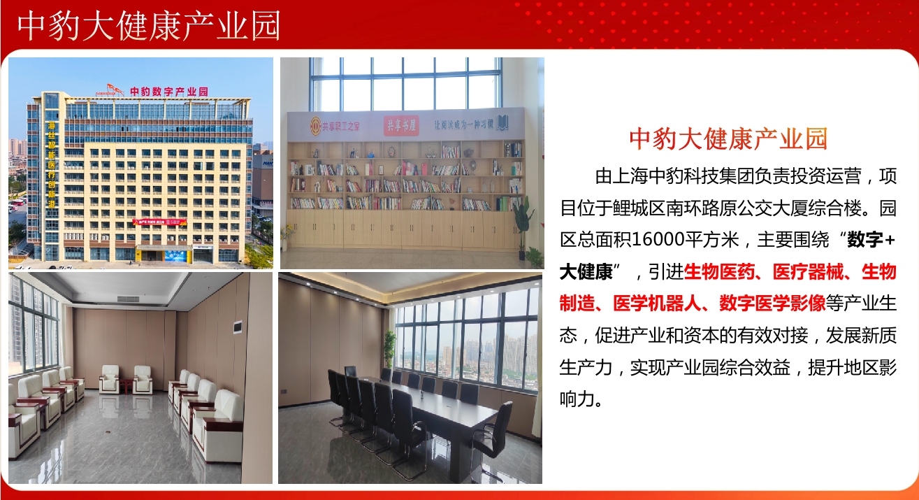 成人网站