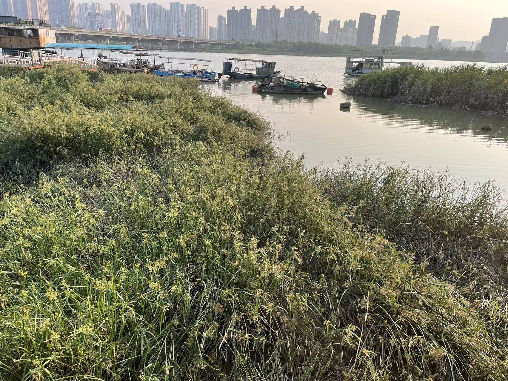 成人网站