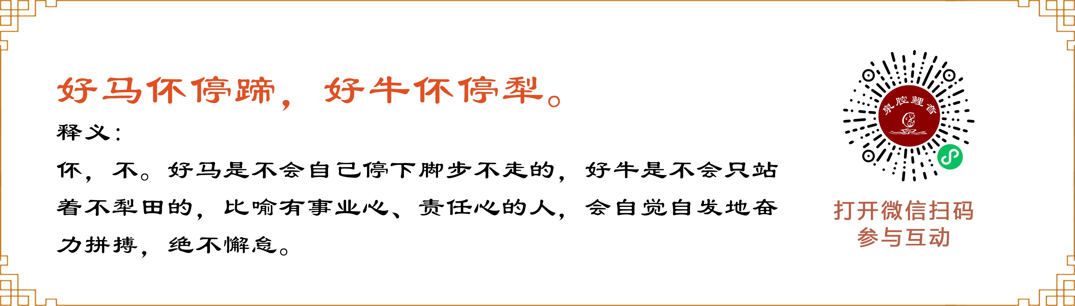 成人网站
