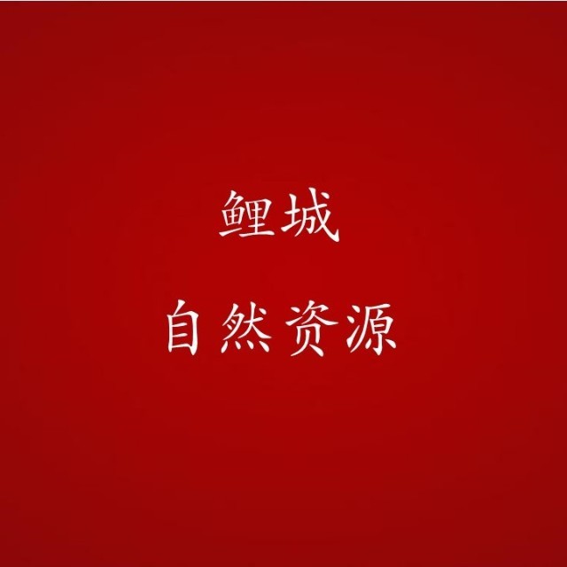 成人网站