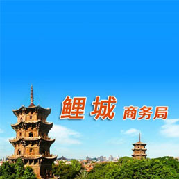 成人网站