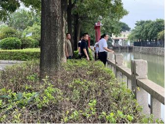 成人网站