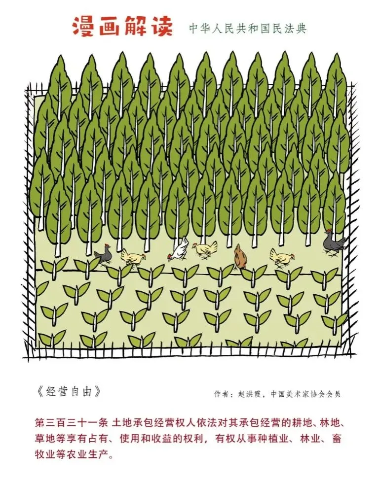 成人网站